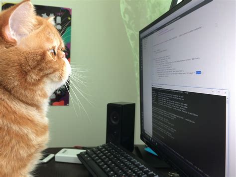 javascript 参考書: なぜ猫はコードを書けないのか？